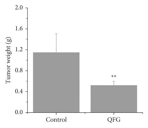 Effect Of Qfg On Hct 116 Xenograft Tumor Growth And Body Gain In Mice