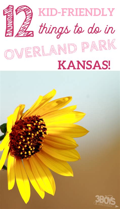 Kid Friendly Things To Do In Overland Park Ks