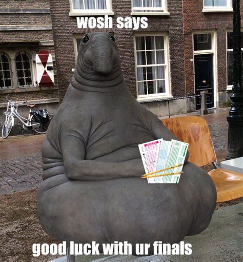 wosh recognises  difficult  stressful higher education