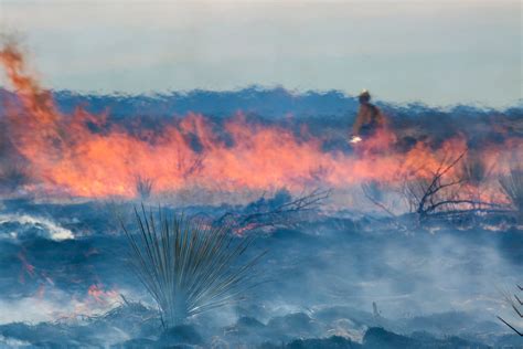 Does Smokey Bear Need A Makeover To Prevent More Wildfires