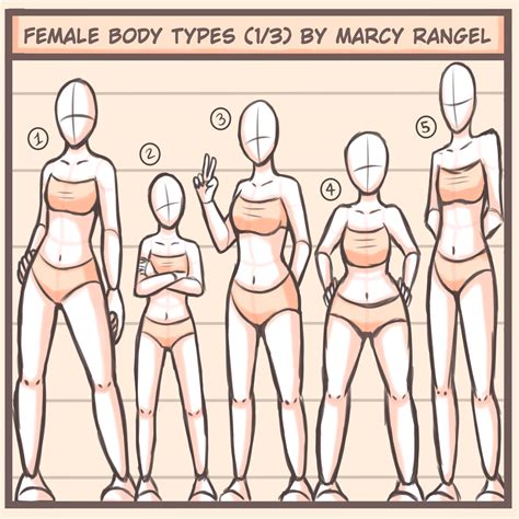 Marcy Body Type Drawing Body Drawing