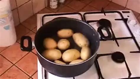 Stunning Brunette Teen Having Hardcore Sodomy Outdoors Xhamster