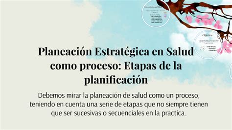 Planeacion Estrategica En Salud Como Proceso Etapas De La P By Daniela