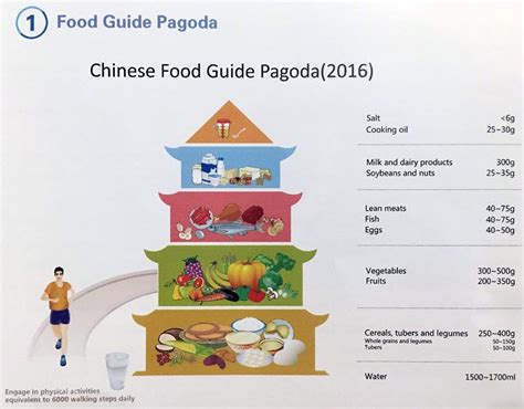What Food Pyramids Look Like Around The World