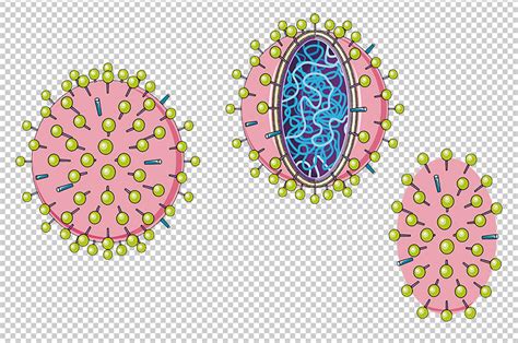 Influenza Virus Vector Scientific Illustration