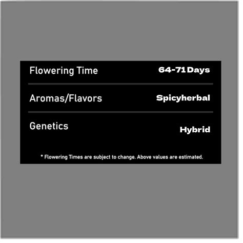 cooking kit grow a garden 10