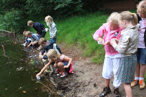 Friesland Met Kinderen 42 Tips Wat Te Doen Leukste Binnen