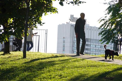 Nakon prohladnog jutra sunčano i toplo Temperatura do 24 stepena