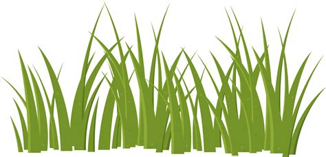 Cartoon Grass Leaves Clip Art 21612260 Png