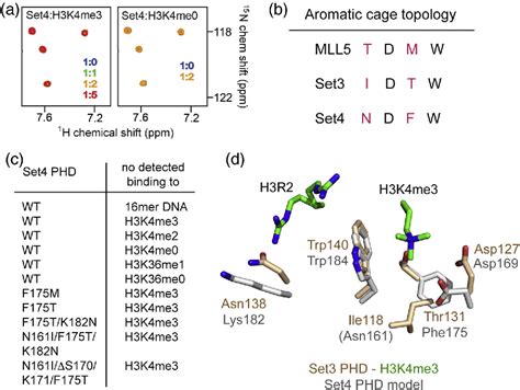 Figure 1 From Structural Insight Into Recognition Of Methylated Histone