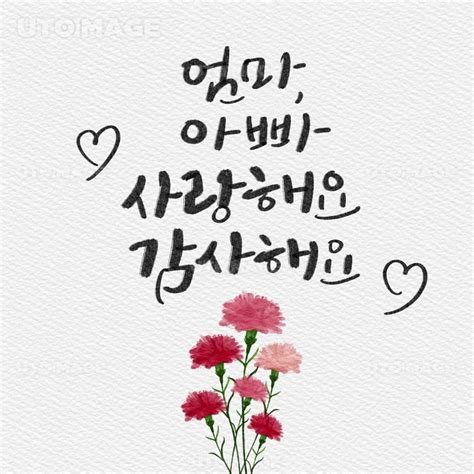 유토이미지 5월가정의달 감사사랑어버이날캘리그래피일러스트카네이션