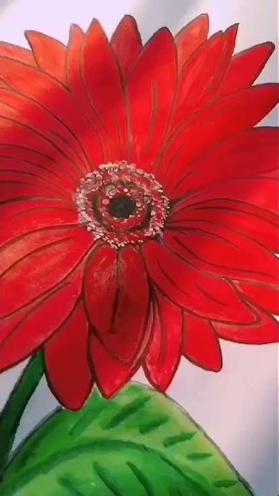 Gerbera Flower Drawing Easy Daisy Flower Drawing Youtube