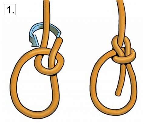 Bowline Knot Diagram - ClipArt Best