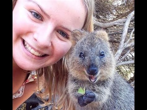Happy Quokkas Smile Demis Roussos - YouTube