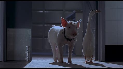 Babe: Pig in the City (1998) Screencap | Fancaps 