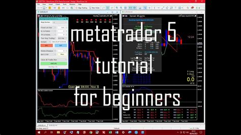 Metatrader 5 Mt5 Mql5 Tutorial For Beginners Youtube