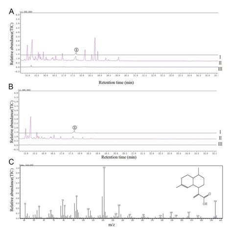 Gc Ms Analysis Of Artemisinic Acid In Artemisia Annua Samples A