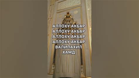 РОББИ ЗИДНИ ИЛМАН - YouTube