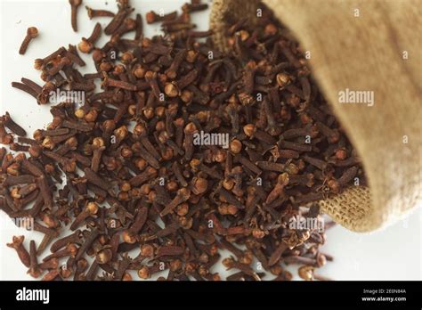 Studio Shot Of Indian Spices Clove Stock Photo Alamy