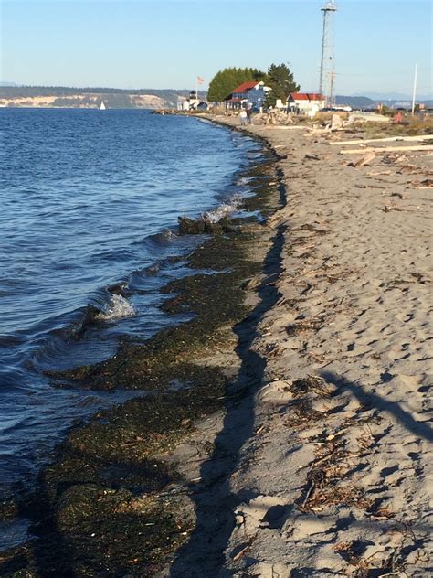 Gravel Beach: Point No Point