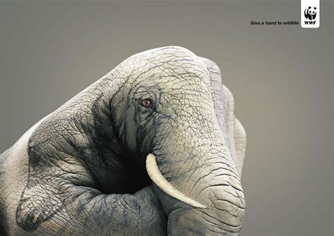 32 Most Creative Wwf Ads Bored Panda