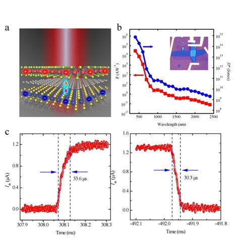 《nano Letters》报道缪峰教授、王伯根教授课题组二维材料异质结红外探测器领域重要进展 南京大学