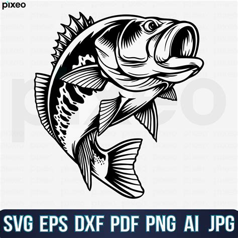 Bass Fishing Svg Fishing Svg Bass Fish Svg Bass Clipart - Etsy Australia