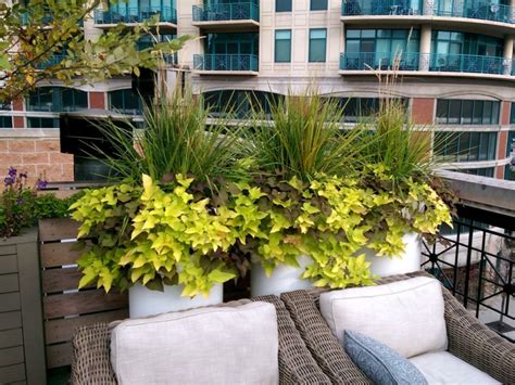 Terrasse Und Balkon Mit Pflanzen Und Blumen Gestalten