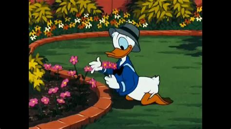 ᴴᴰ Donald Duck And Chip And Dale Cartoons Disney Pluto Mick 9 Video