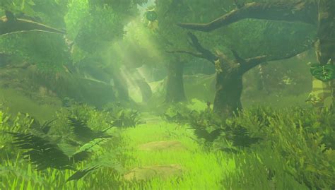 Korok Forest - Zelda Wiki