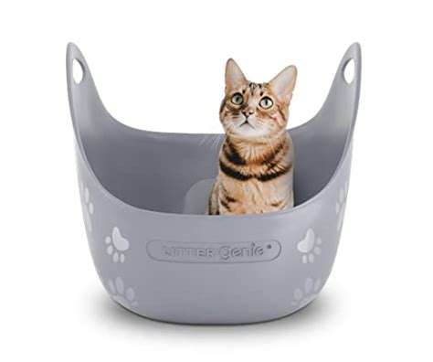 5 Best Round Litter Boxes For Cats Innovative Round Designs