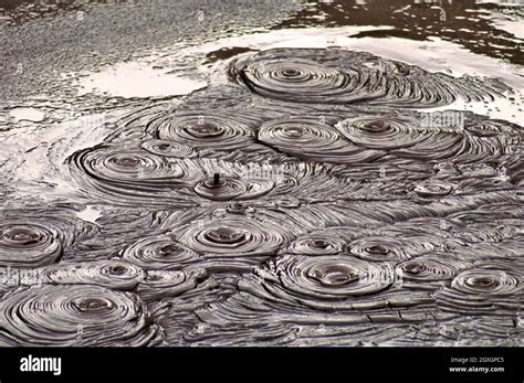 Boiling Mud Creating A Unique Landscape Is A Feature Throughout The