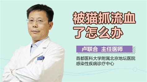 被猫抓流血了怎么办 有来医生