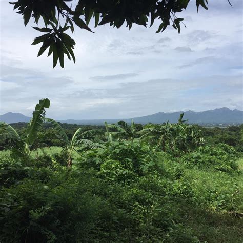 Mountain Top View Seaandmountains Cool 4 Has Farm Lot Tuy Batangas