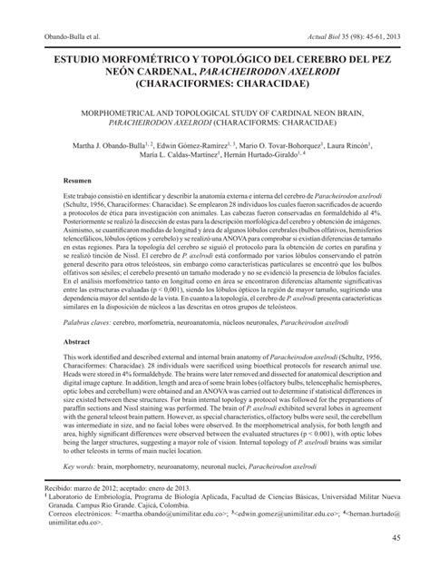 PDF Estudio Morfométrico y Topológico del cerebro del Pez Neón