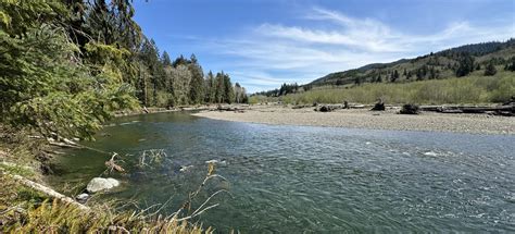 Bogachiel River Trail, Washington - 111 Reviews, Map | AllTrails