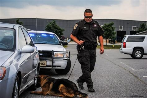 Police K9 Dog Handler Courses - K9 Handler School Training