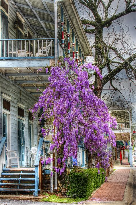 Colorful Walk Photograph By Tony Colvin Fine Art America