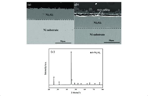 Cross Sectional Morphologies Of Ni Al Coatings A Naked B