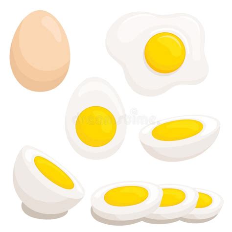 Cartoon Egg On White Background Stock Vector Illustration Of