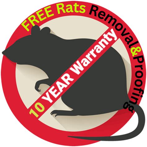 Attic Rodent Removal And Rodent Proofing Services