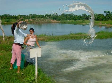 Pesca Y Piscicultura Por Departamento De Bolivia Riquezas De Bolivia