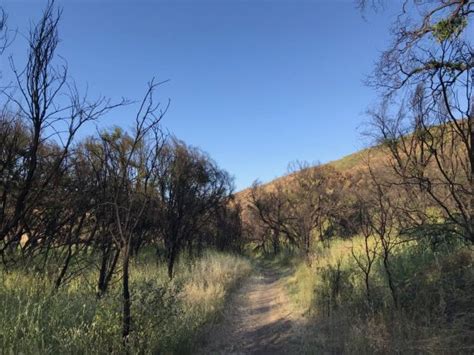 Summer in Agoura Hills - Agoura Hills Mom