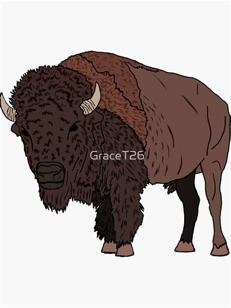 American Bison Sticker By Gracet26 Redbubble