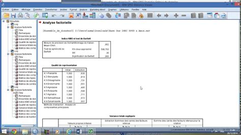 Analyse Factorielle Exploratoire ACP Sur SPSS YouTube