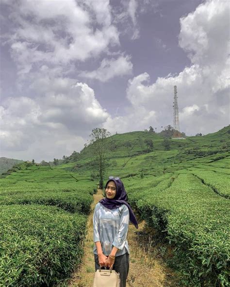 Perkebunan Teh Rancabali Pesona Dan Keindahan Kebun Teh Yang Sudah