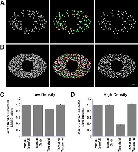 Figure From New Automated Single Cell Technique For Segmentation And