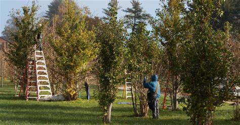 A Fall Update From The Gaia Farm Gaia Herbs®