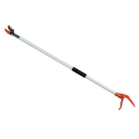 Extended Reach Pole Saw