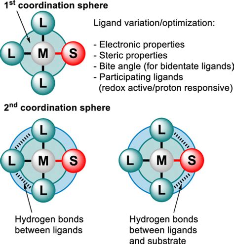 Transition Metal Catalysis Controlled By Hydrogen Bonding Off